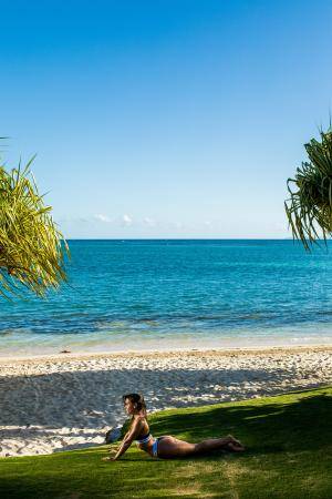 Original 2000 px/ 3000 px