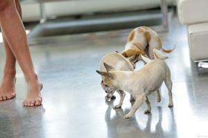 Original 5760 px/ 3840 px