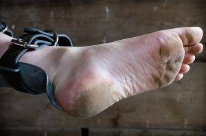 Original 1200 px/ 795 px