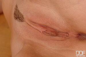 Original 2000 px/ 1328 px