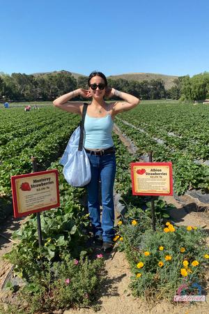 Original 2000 px/ 3000 px