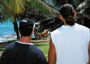 Original 842 px/ 595 px