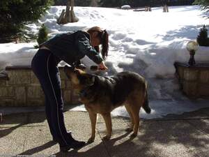 Original 1600 px/ 1200 px