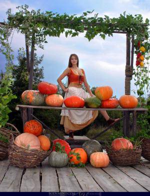 Original 2048 px/ 2679 px