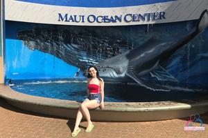 Original 3000 px/ 2000 px