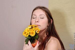 Original 2404 px/ 1600 px