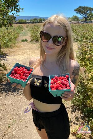 Original 2000 px/ 3000 px