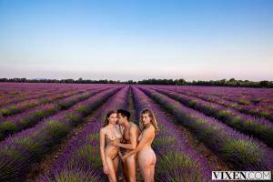 Original 3000 px/ 2000 px