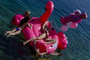 Original 5472 px/ 3648 px