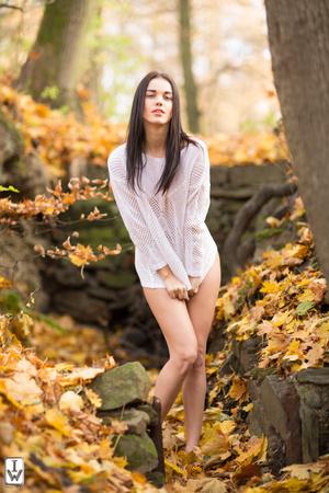 Original 2000 px/ 3000 px