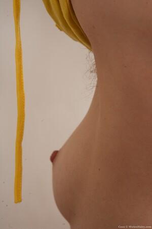 Original 2000 px/ 3000 px