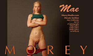 Original 3000 px/ 1823 px