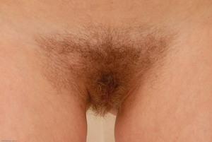 Original 3000 px/ 2008 px