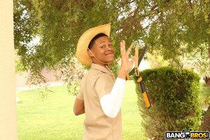 Original 2000 px/ 1333 px