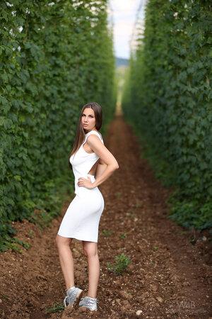 Original 3456 px/ 5184 px