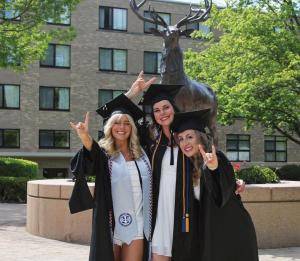 Original 1080 px/ 943 px