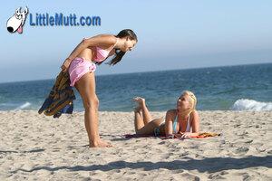 Original 1100 px/ 733 px