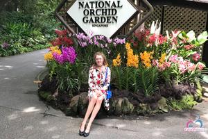 Original 3000 px/ 2000 px