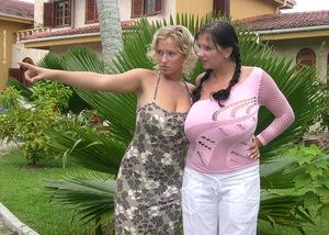 Original 1024 px/ 730 px