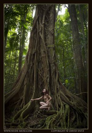 Original 3439 px/ 5000 px