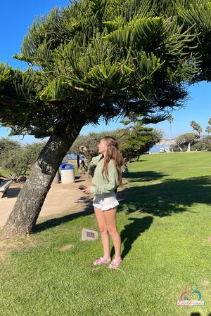 Original 2000 px/ 3000 px