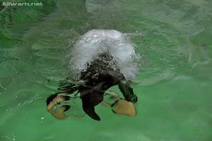 Original 1024 px/ 683 px