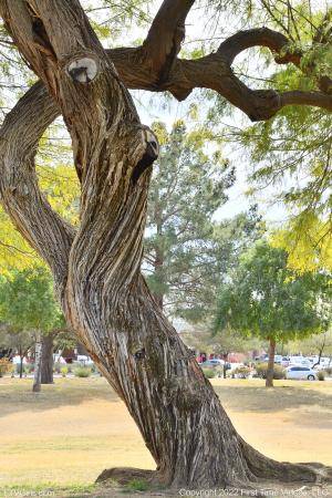 Original 3280 px/ 4928 px