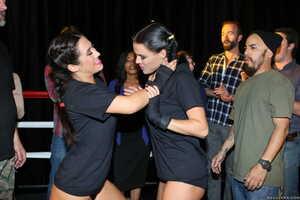 Original 2495 px/ 1663 px