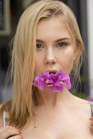 Original 2000 px/ 3000 px