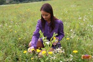 Original 2464 px/ 1643 px