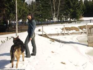 Original 1600 px/ 1200 px