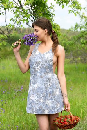 Original 2671 px/ 4000 px