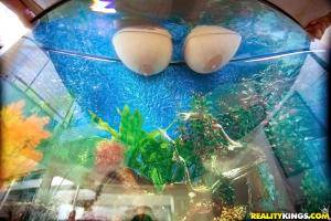 Original 900 px/ 600 px