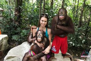 Original 3000 px/ 2000 px