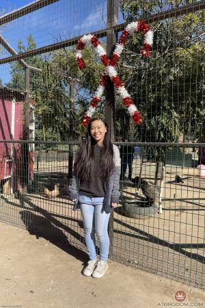 Original 2000 px/ 3000 px