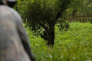 Original 4000 px/ 2667 px