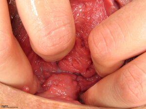 Original 2000 px/ 1500 px