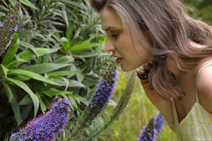 Original 4000 px/ 2667 px