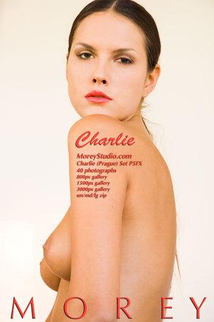 #MoreyStudio Charlie P5FX