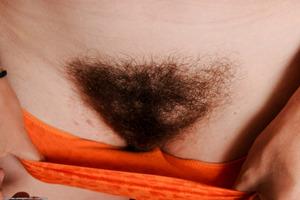 Original 1536 px/ 1022 px