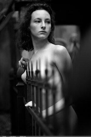 Original 1330 px/ 2000 px