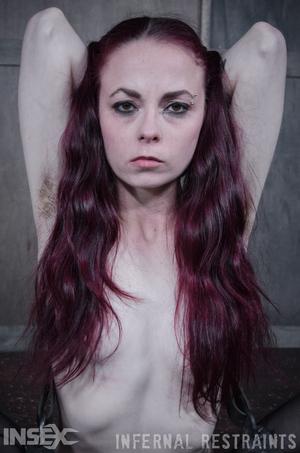 Original 795 px/ 1200 px