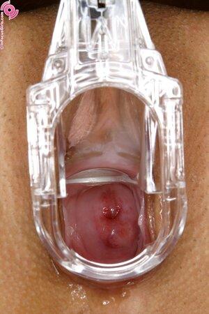 Original 1333 px/ 2000 px