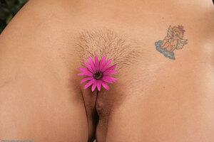 Original 1536 px/ 1024 px