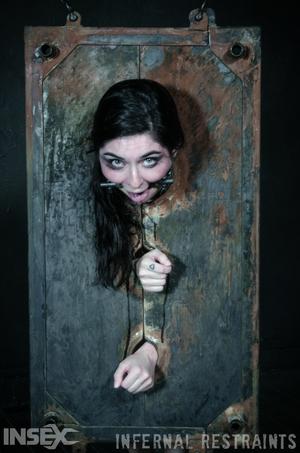 Original 795 px/ 1200 px