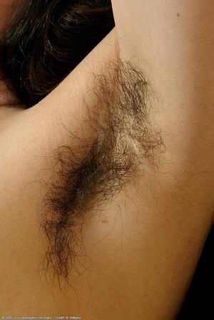 Original 684 px/ 1024 px