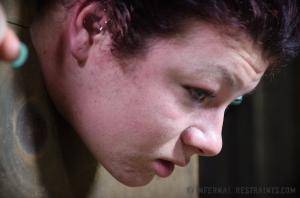 Original 1200 px/ 795 px