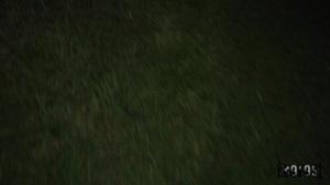 Original 1920 px/ 1080 px