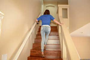 Original 2491 px/ 1663 px