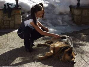 Original 1600 px/ 1200 px